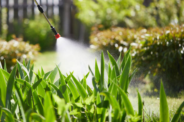 24/7 Emergency Mosquito Control experts in Independence, OR